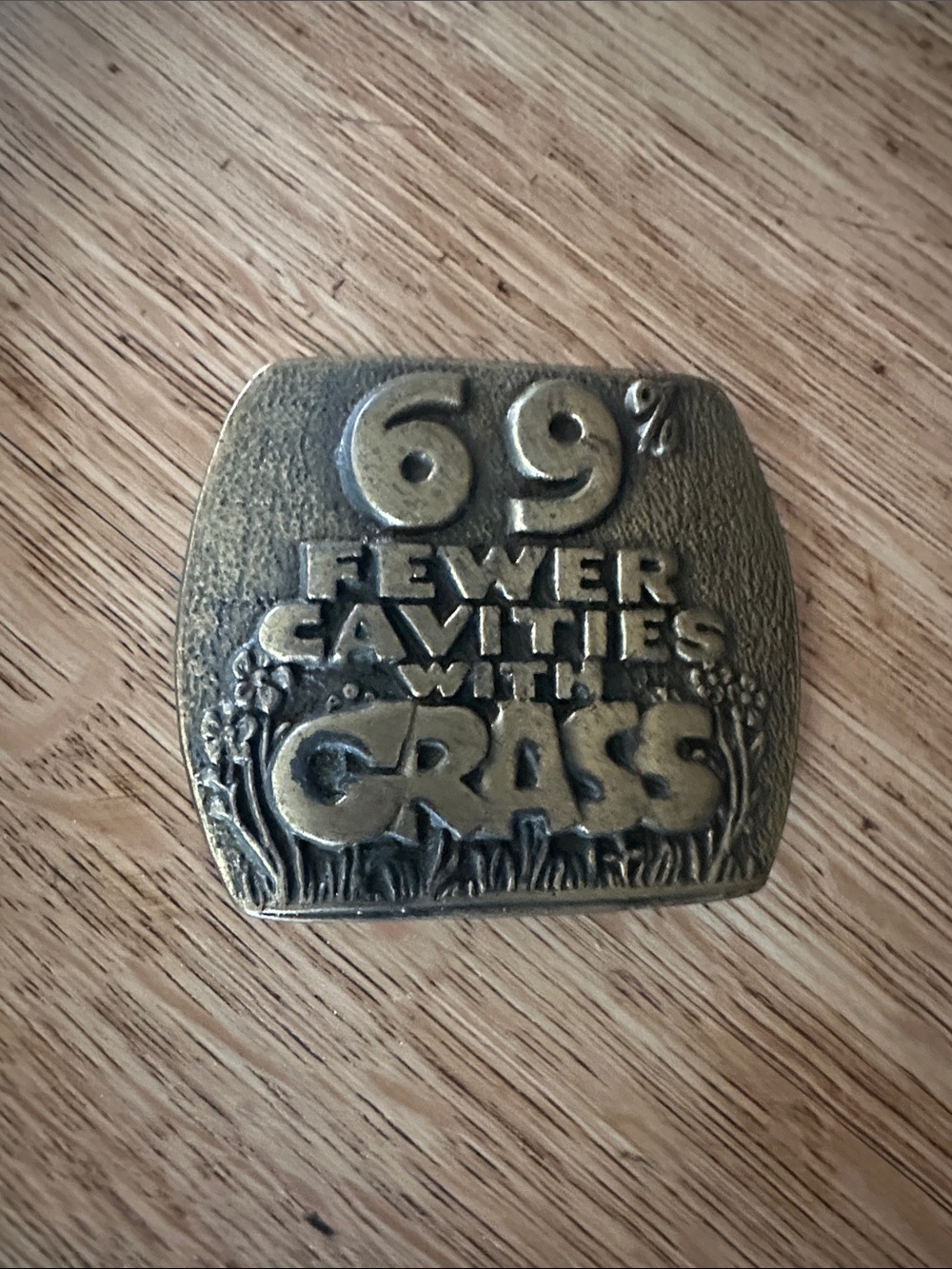 Vintage '69% Fewer Cavities with Grass' Belt Buckle